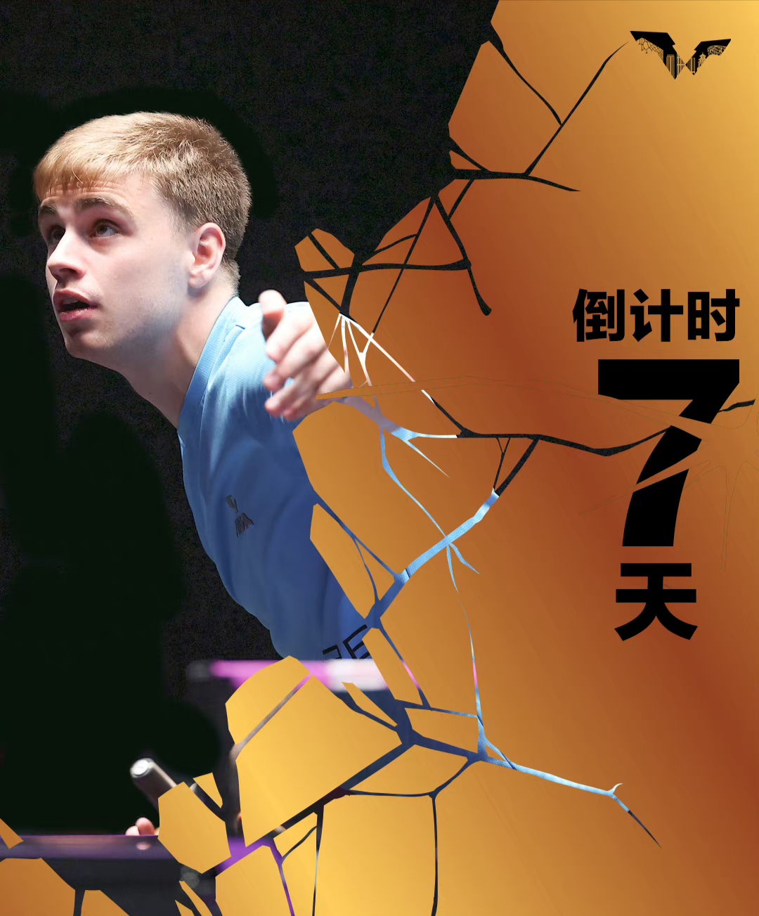 包含全明星赛倒计时，多伦多猛龙冲刺阶段止住颓势，细节引发关注，话题不断，身体对抗强度拉满的词条JIUYOU GAME